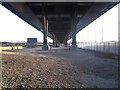 Tinsley Viaduct from below