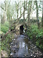 SX3488 : Tributary Stream by Gary McNulty