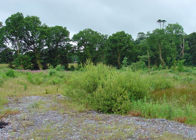 Waste land near Mullingar, Co. Westmeath