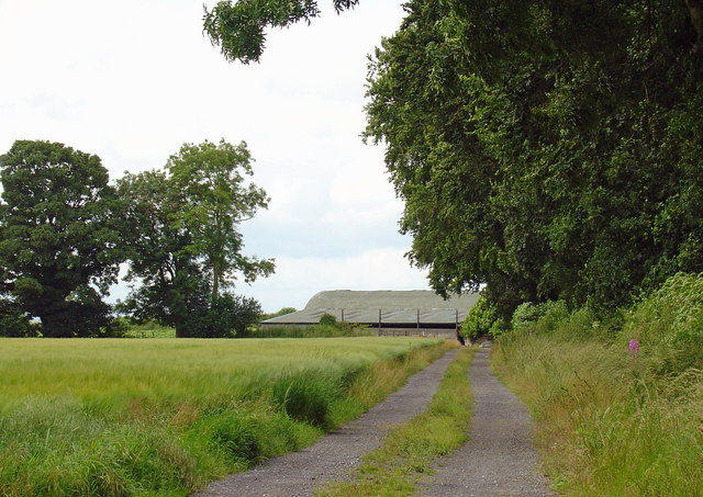 Farm track near Carlow