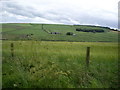 View SSW over Buckies Mill