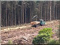 H0254 : Timber harvesting above Lough Navar by Oliver Dixon