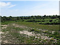 Pound Common at North Chailey