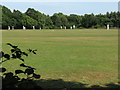 Cricket match at the north end of Chailey Common