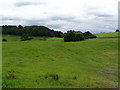 Towards Tandragee Demesne