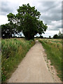 A Footpath west of Hook