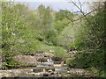 Waterfalls on Middlehope Burn (4)