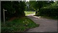 Bridleway off Vann Lane