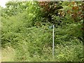 Restricted byway sign on Farmington Road