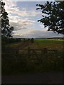 Railway tracks and countryside