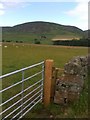 View of Bellybought Hill from the southwest