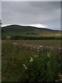 Distant view of Townhead at the foot of Auchenleck Hill