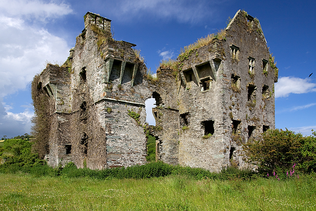 Castles of Munster: Coppinger's Court, Cork - revisited (1)