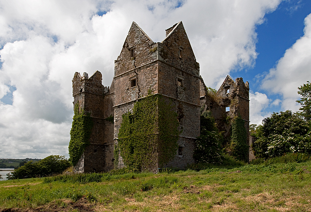 Castles of Munster: Mountlong, Cork (2)