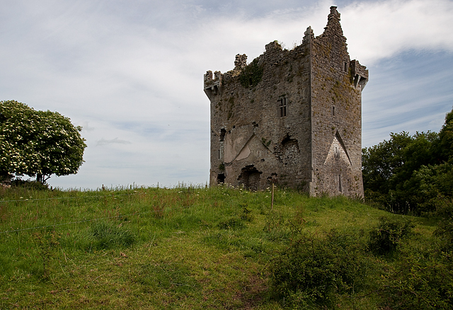 Castles of Munster: Ballynamona, Cork