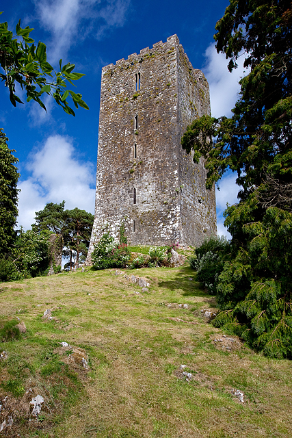 Castles of Munster: Conna, Cork (1)