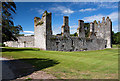W9573 : Castles of Munster: Castlemartyr, Cork by Mike Searle