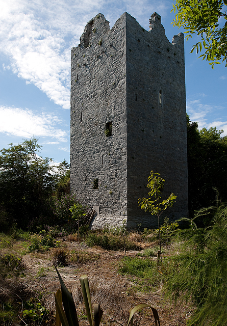 Castles of Munster: Ballintotis, Cork (1)