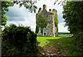 S0823 : Castles of Munster: Loughlohery, Tipperary by Mike Searle