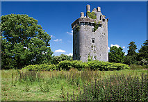 R4601 : Castles of Munster: Lohort, Cork (2) by Mike Searle