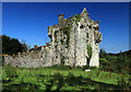 X0996 : Castles of Munster: Tourin, Waterford by Mike Searle