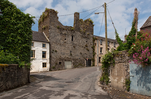 Castles of Munster: Court Castle -... © Mike Searle cc-by-sa/2.0 ...