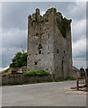 S4470 : Castles of Leinster: Ballyragget, Kilkenny by Mike Searle
