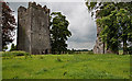 S4747 : Castles of Leinster: Burnchurch, Kilkenny by Mike Searle