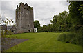 S4749 : Castles of Leinster: Ballybur, Kilkenny by Mike Searle