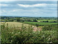 Fields near Newbuildings