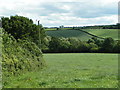 Field east of West Sandford, but west of Sandford