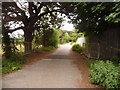 Canford Heath: tarmacked-over cattle grid