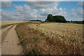 Farmland near Hawkedon