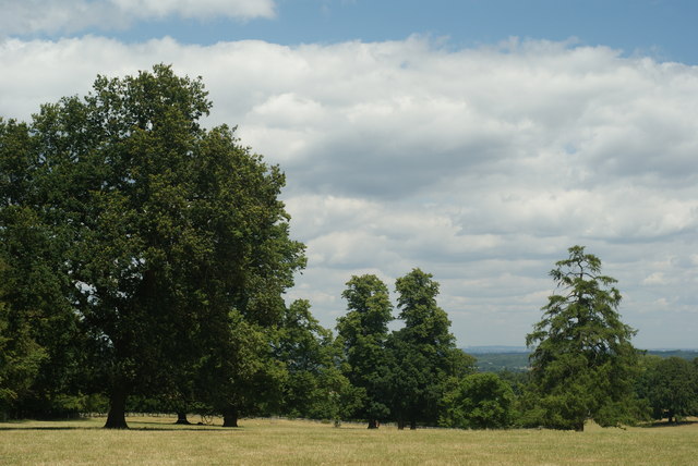 Parkland at Polesden Lacey, Surrey