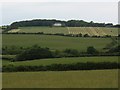 Llwydiarth Fawr Hall - the home of Klondyke Bill