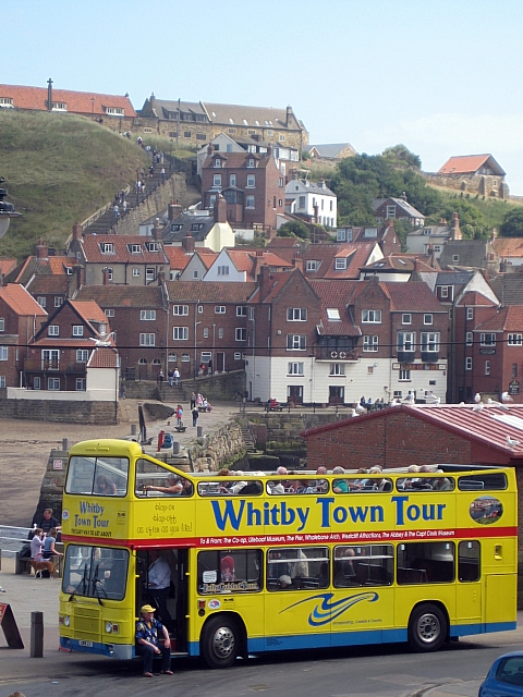 whitby tour bus times map