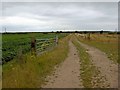 Deeps Lane bridleway