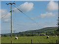 Line of electricity poles across the Aire valley