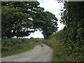 Private lane linking Tre-Ysgawen Hall and associated farms with the B5111 near Llangwyllog Church