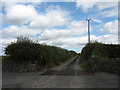 Farm road leading to Hafod Farm