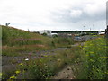 Old Ferry Street in Jarrow