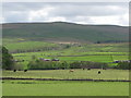 Pastures below Low Crooked Well (3)