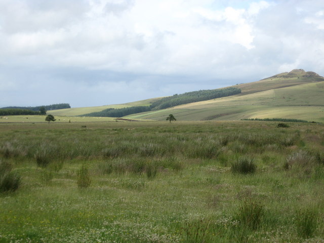 Rough grazing among the rolling hills of... © James Denham :: Geograph ...