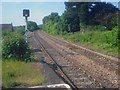 Cat crossing the line near Great Malvern Station