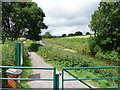 Halberton : Grand Western Canal