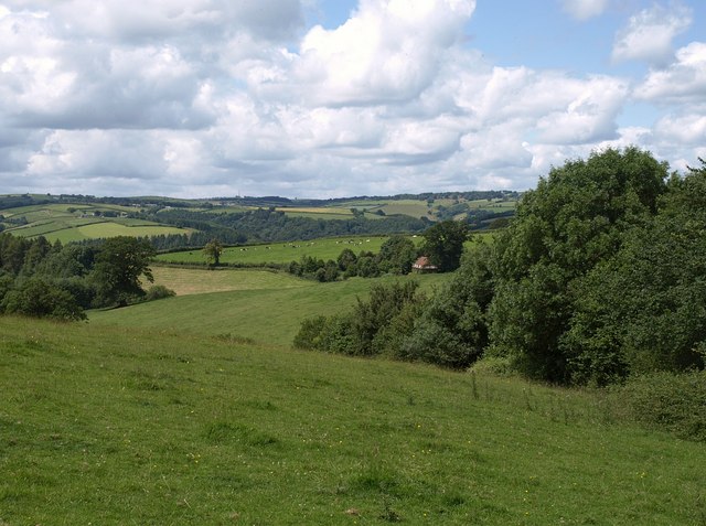 Countryside near Coydon Cottage