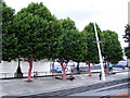 Polka dotted trees and Festival Pier