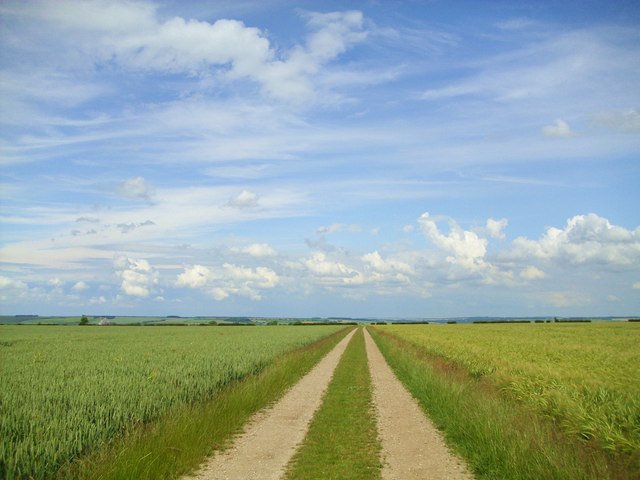 The long straight track
