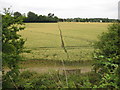 Woodborough: Footpath to Bottlesford