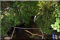 Mill Brook at Sutton Courtenay